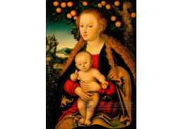 VSO1396 Lucas Cranach - Panna a dítě pod jabloní