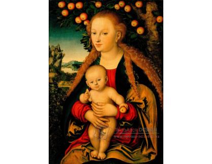 VSO1396 Lucas Cranach - Panna a dítě pod jabloní