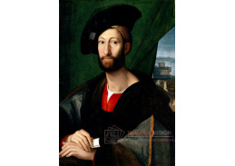VR11-31 Rafael Santi - Portrét Giuliana de Medici