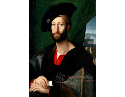 VR11-31 Rafael Santi - Portrét Giuliana de Medici