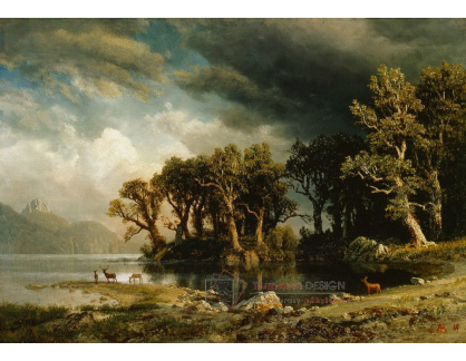 D-6977 Albert Bierstadt - Nadcházející bouře