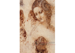 R1-239 Leonardo da Vinci - Studie hlava Ledy