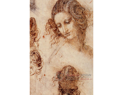 R1-239 Leonardo da Vinci - Studie hlava Ledy