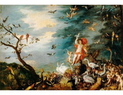 BRG-21 Jan Brueghel - Alegorie letu