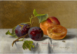 A-1319 Emilie Preyer - Ovocné zátiší s broskvemi a hrozny