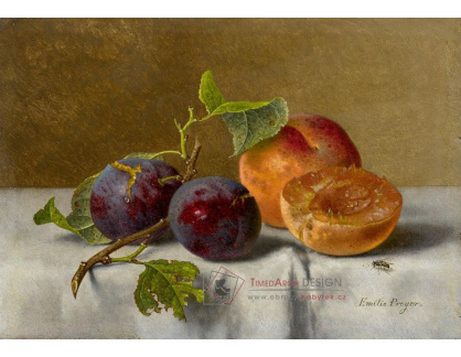 A-1319 Emilie Preyer - Ovocné zátiší s broskvemi a hrozny