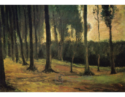 A-11 Vincent van Gogh - Okraj lesa