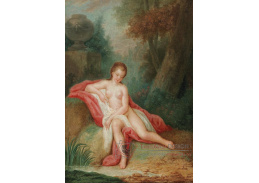 DDSO-2643 Francois Boucher - Akt u vody