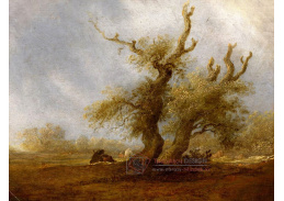 KO III-362 Salomon van Ruysdael - Lesnatá krajina s pastýřem