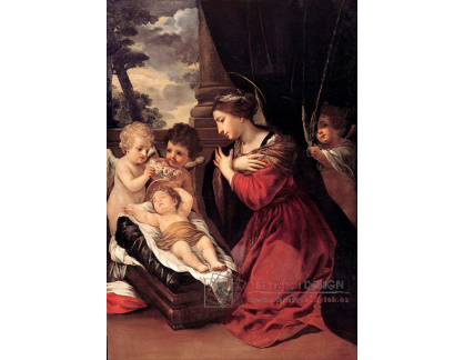 KO V-192 Pietro da Cortona - Madonna s dítětem a anděly