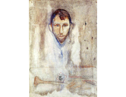 VEM13-89 Edvard Munch - Stanislaw Przybyszewski