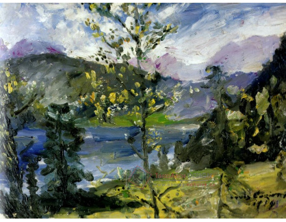 VLC 106 Lovis Corinth - Sníh v říjnu ve Walchensee