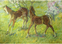 VFM 18 Franz Marc - Hříbata