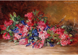 SO XIV-504 Adele Walter - Květinové zátiší