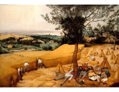 BRG-178 Pieter Brueghel - Sklizeň