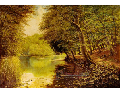 DDSO-1616 H. Pollack - Letní listnatý les s jezírkem