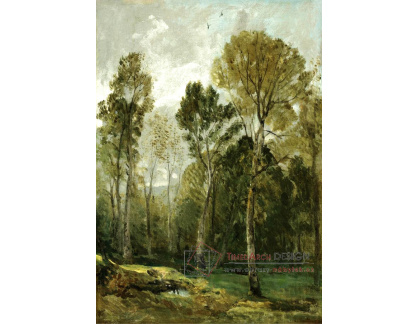 KO II-189 John Constable - Pohled do lesa