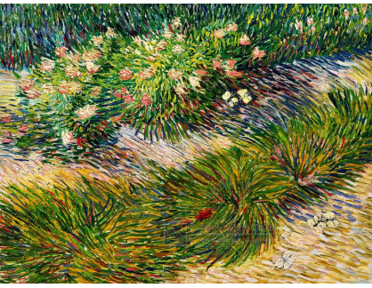 A-3198 Vincent van Gogh - Tráva a motýli