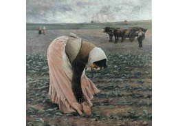 Jakub Schikaneder - Plečka