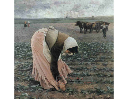 Jakub Schikaneder - Plečka