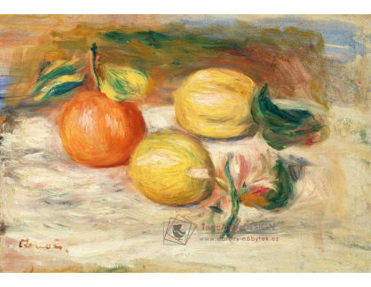 D-6812 Pierre-Auguste Renoir - Citrony a pomeranče