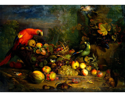 SO XIV-201 Tobias Stranover - Zátiší s papoušky a ovocem