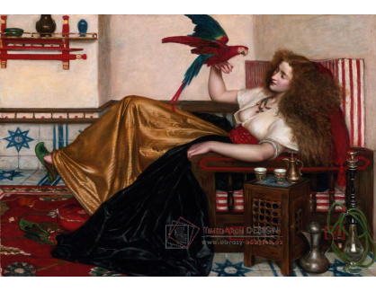 DDSO-4291 Valentine Cameron Prinsep - Legenda o papouškovi