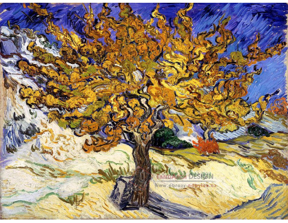 VR2-167 Vincent van Gogh - Moruše