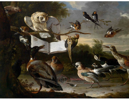 SO XII-296 Melchior de Hondecoeter - Ptačí koncert