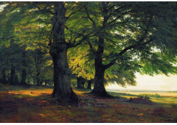 SO VI-116 Ivan Ivanovič Šiškin - Mohutné stromy