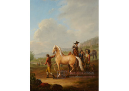 A-8036 Johann Georg Pforr - Koňský trh
