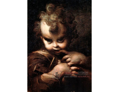 SO VII-222 Parmigianino - Dítě