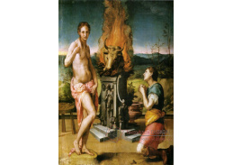SO VII-26 Angolo Bronzino - Pygmalion a Galatee