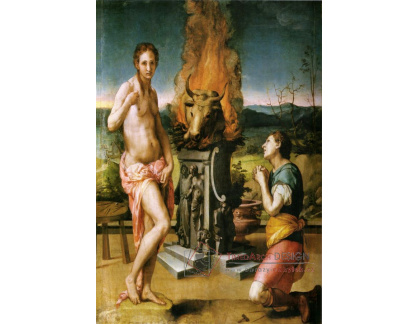 SO VII-26 Angolo Bronzino - Pygmalion a Galatee