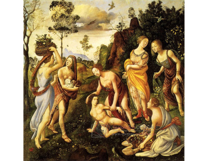 SO IV-30 Piero di Cosimo - Vulcan a Aeolus