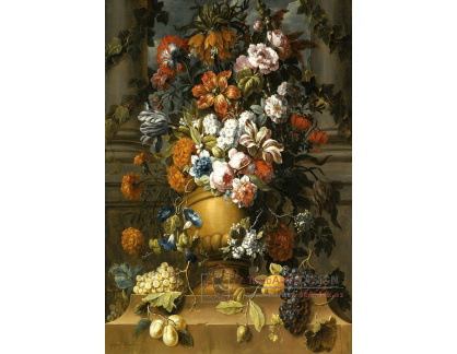 SO XVII-213 Gaspar Peeter Verbruggen - Květiny ve váze s ovocem na podstavci