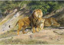 KO VI-322 Rosa Bonheur - Král zvířat