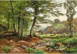 A-7410 Heinrich Böhmer - Sluncem zalitá idyla na okraji lesa