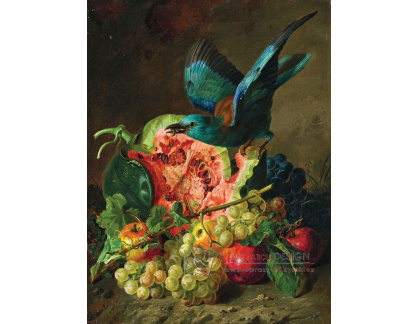 A-8537 Antal Jozsef Strohmayer - Velké ovocné zátiší s melounem a modrým rackem