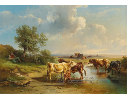 DDSO-4910 Edmund Mahlknecht - Stádo krav na břehu potoka